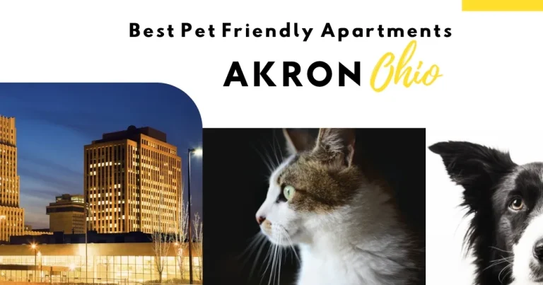 Best Pet Friendly Apartments in Akron, Ohio