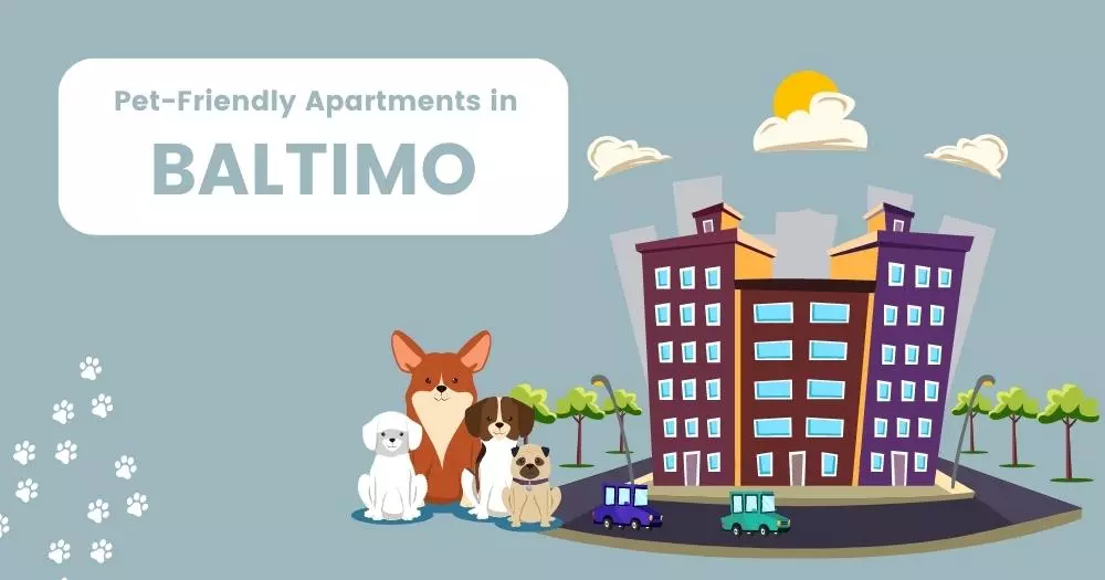 Pet Friendly Apartments Baltimore
