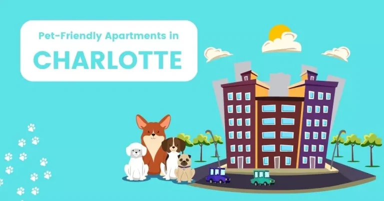Pet Friendly Apartments Charlotte Nc: Apartment Hunting Just Got Easier