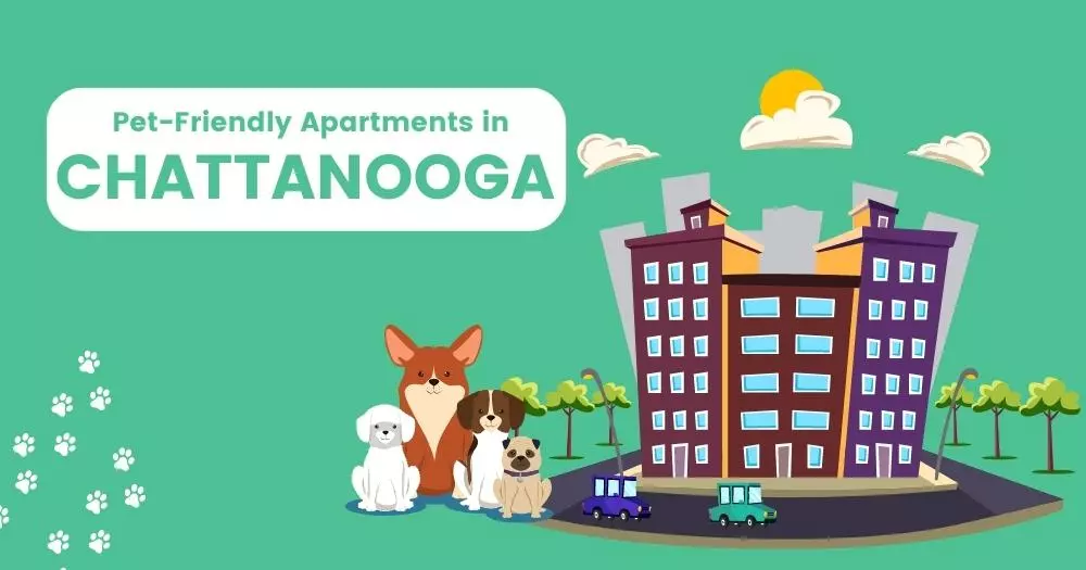 Pet Friendly Apartments Chattanooga