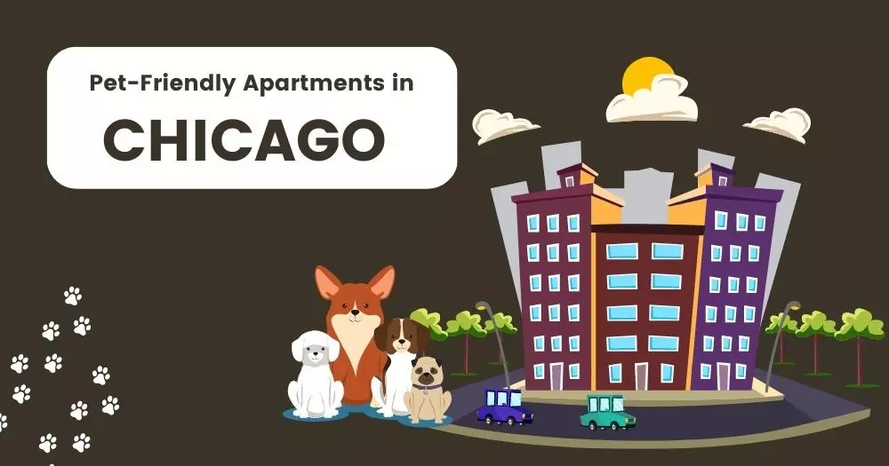 Pet Friendly Apartments Chicago