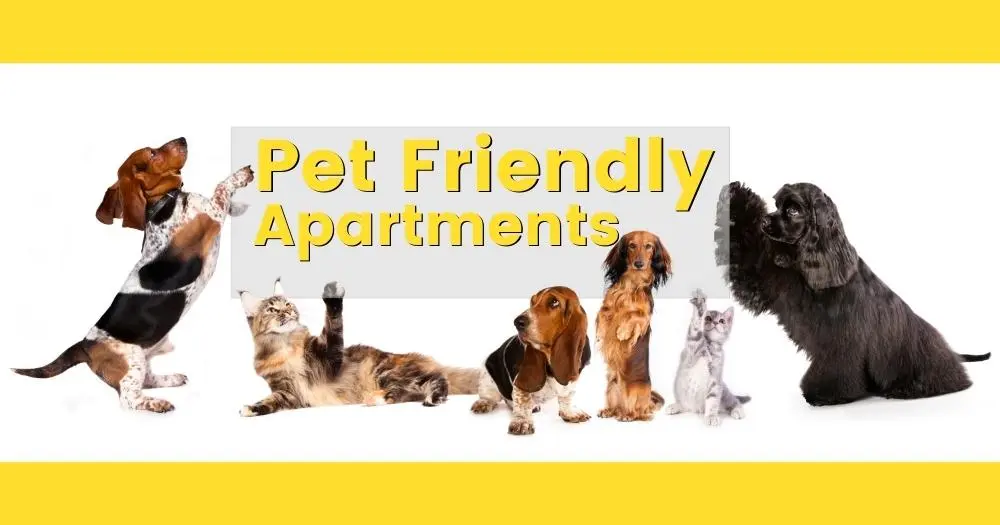 Pet Friendly Apartments