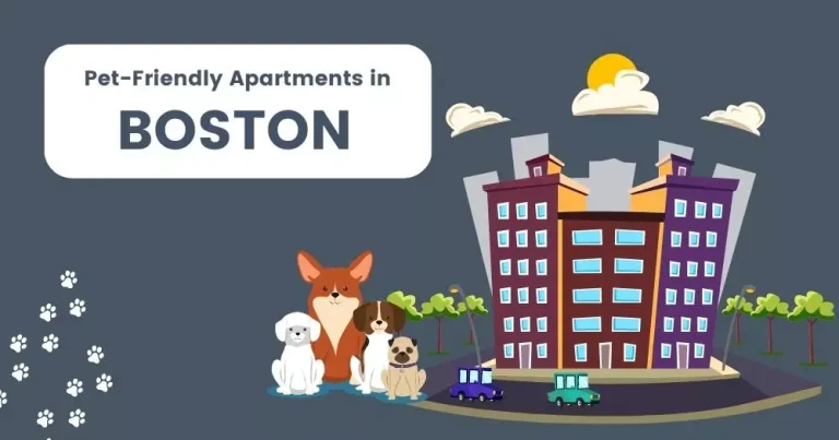 Pet Friendly Apartments Boston Ma: Keep 10 Factors in Mind